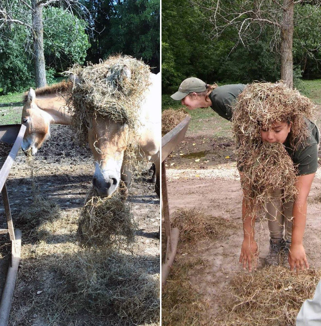 When Zookeepers Have Too Much Free Time…