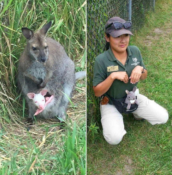 When Zookeepers Have Too Much Free Time…