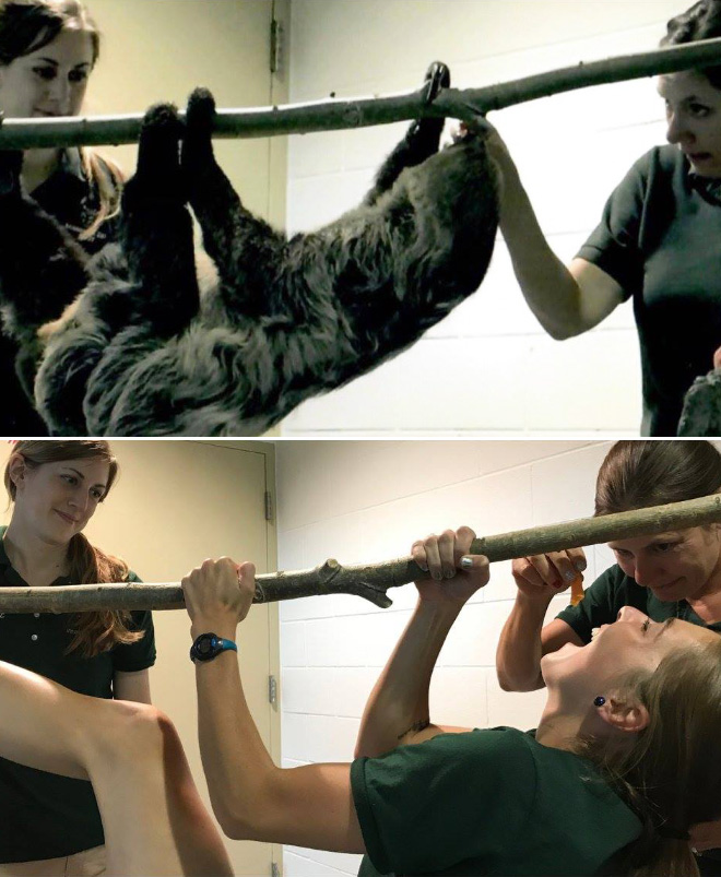 When Zookeepers Have Too Much Free Time…