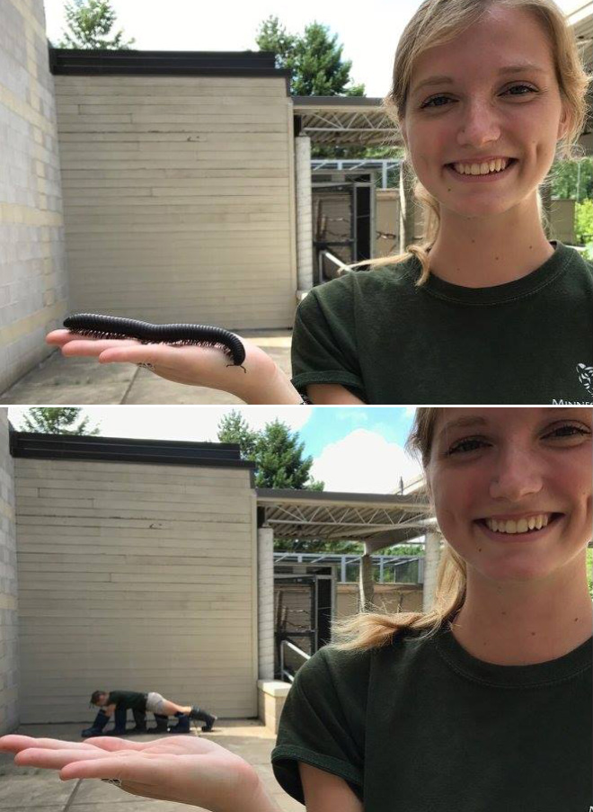 When Zookeepers Have Too Much Free Time…