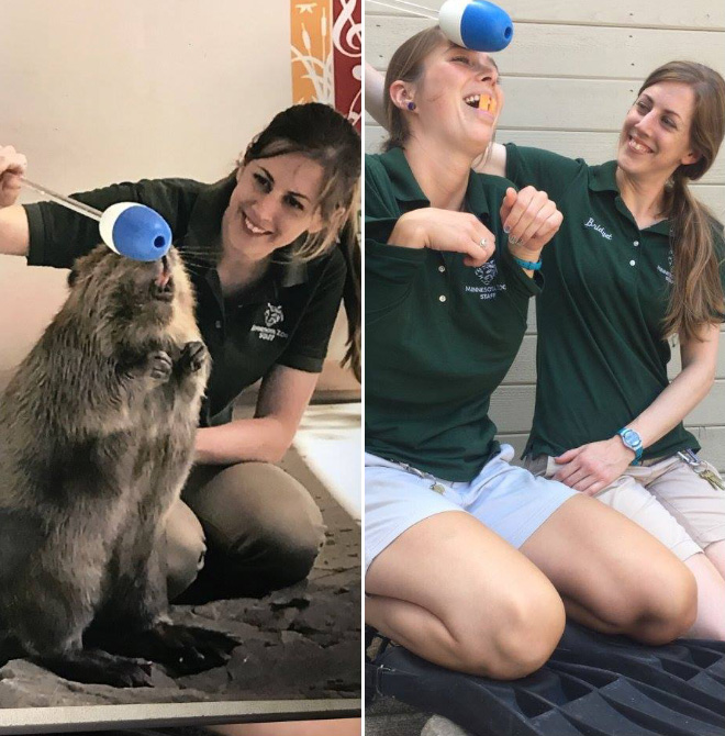 When Zookeepers Have Too Much Free Time…