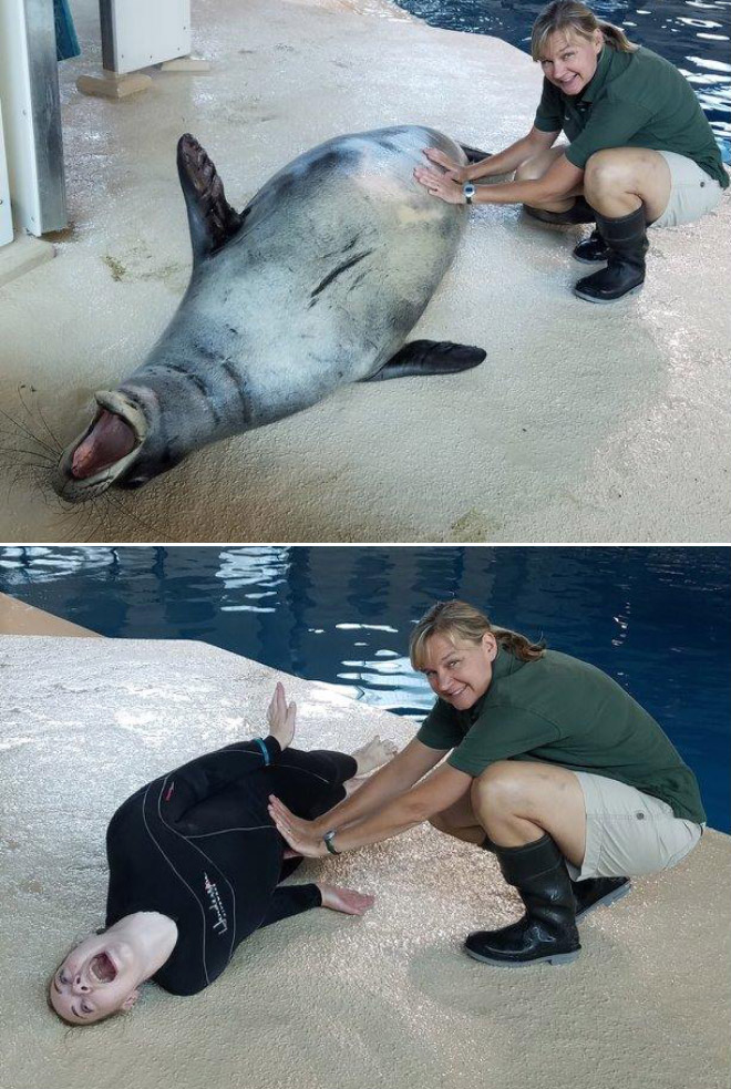 When Zookeepers Have Too Much Free Time…