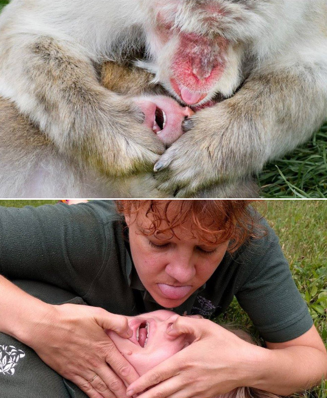 When Zookeepers Have Too Much Free Time…