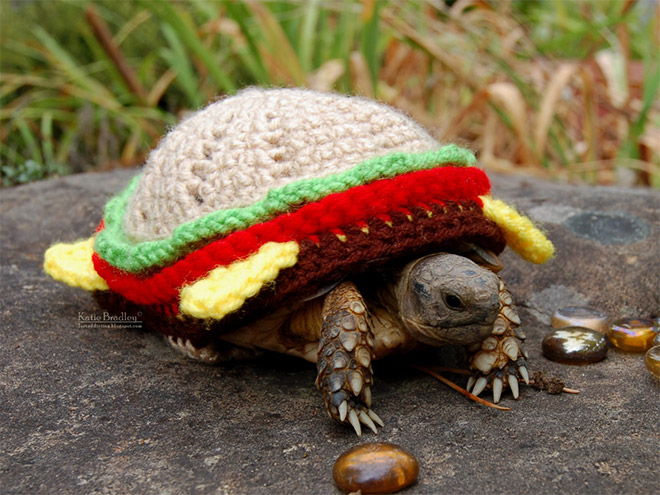 Winter 2020 Tortoise Fashion
