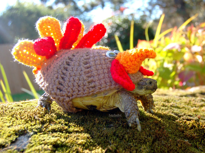 Winter 2020 Tortoise Fashion