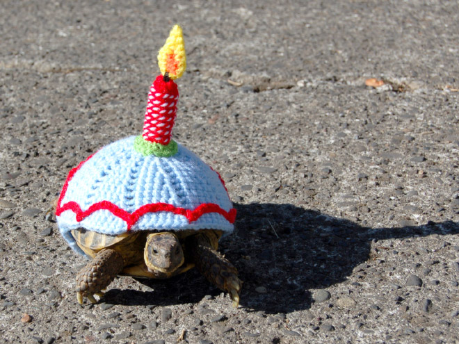 Winter 2020 Tortoise Fashion