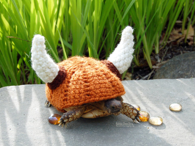 Winter 2020 Tortoise Fashion