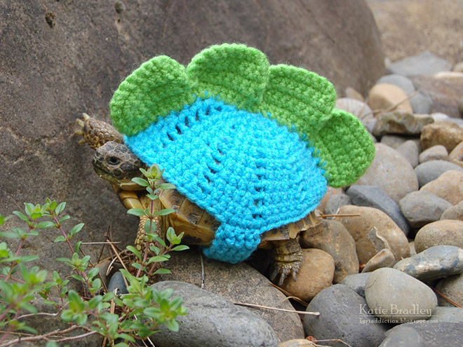 Winter 2020 Tortoise Fashion