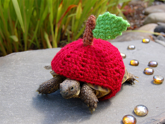 Winter 2020 Tortoise Fashion