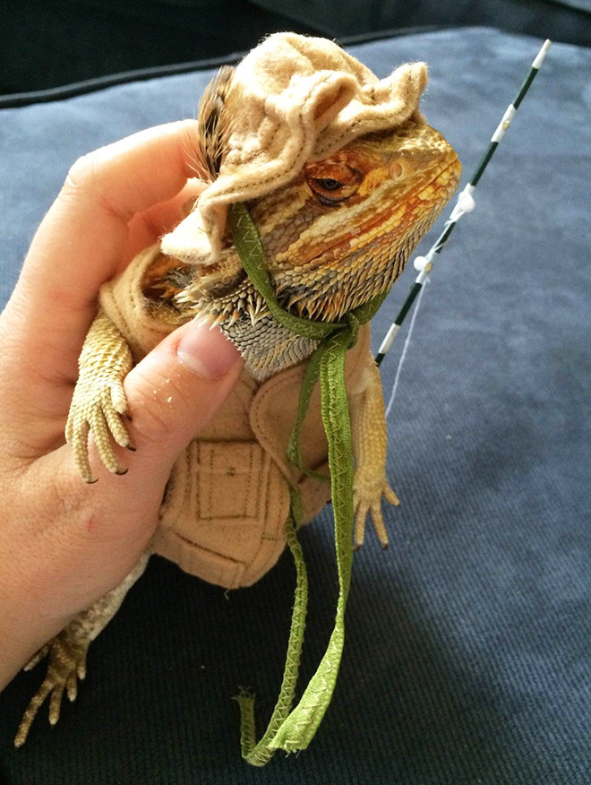 You Know What’s Getting Popular? Lizard Costumes.