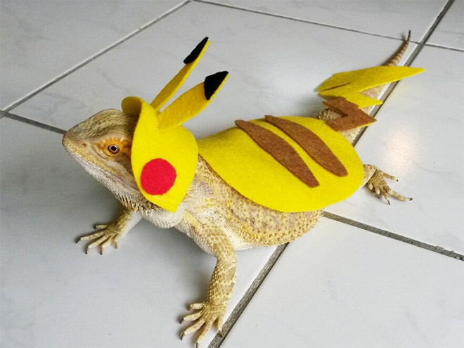 You Know What’s Getting Popular? Lizard Costumes.